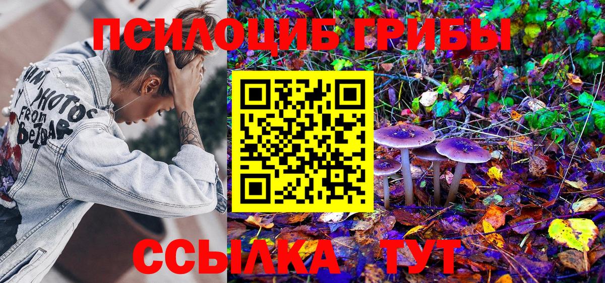 закладки  Галлюциногенные грибы Psilocybe  Вход с VPN  Сарапул 