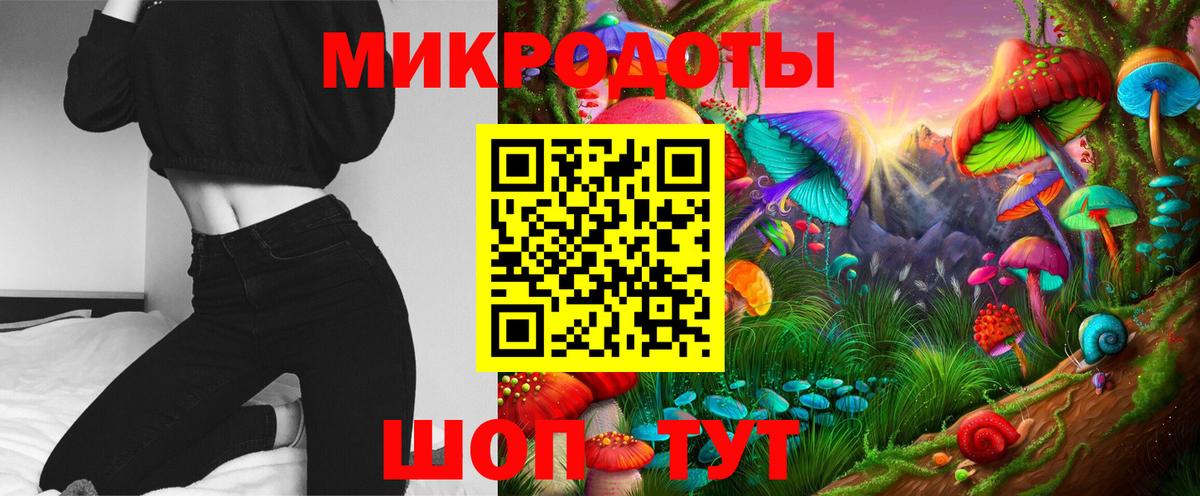 Галлюциногенные грибы Psilocybe Сарапул
